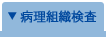 病理組織検査